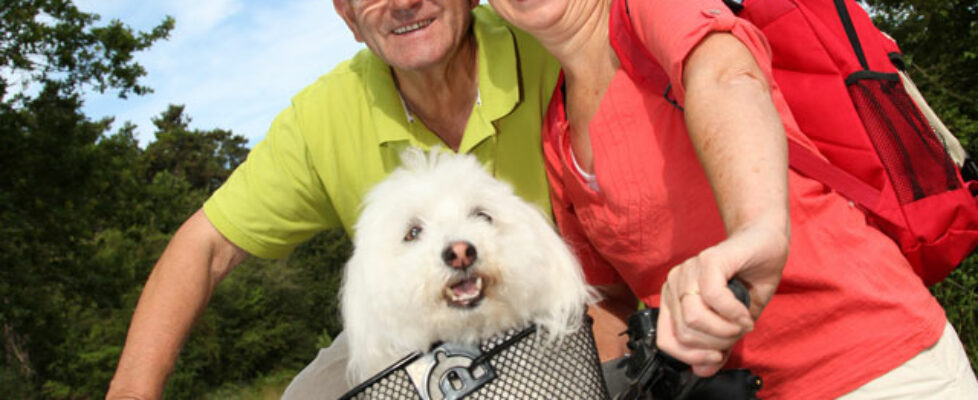 Biking with dog