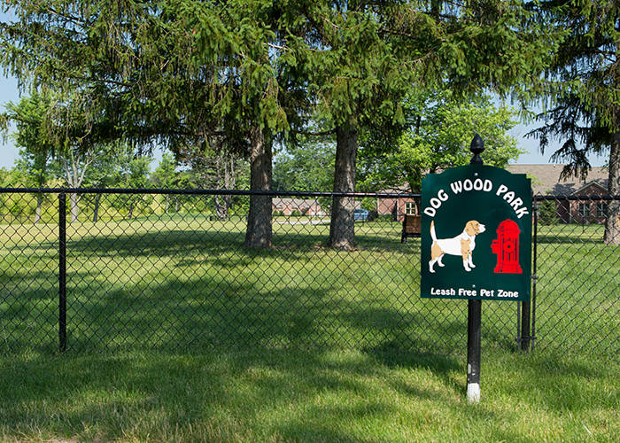 Dog Wood leash-free dog park