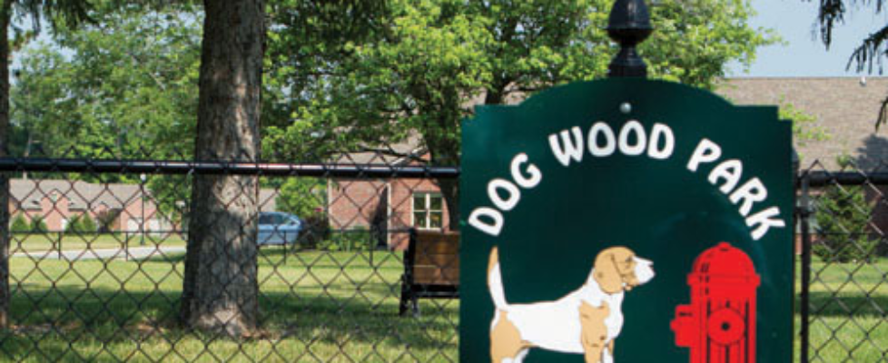 Dog Wood Park