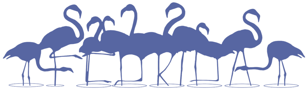 flamingos flamingos