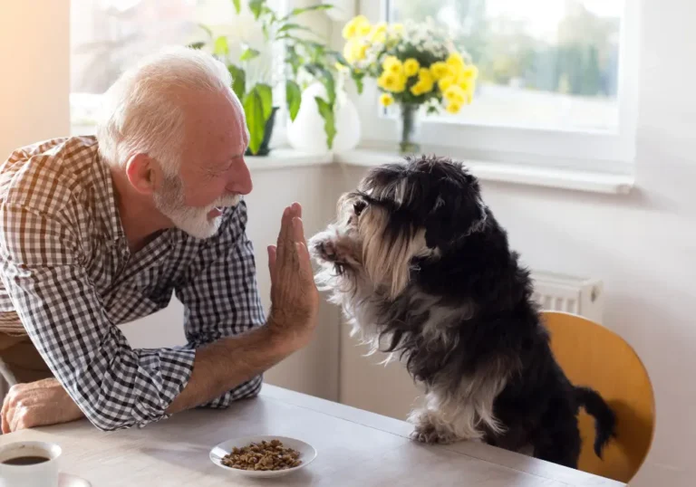 Embracing Pet-Friendly Retirement Living: Where Every Tail Wags with Joy